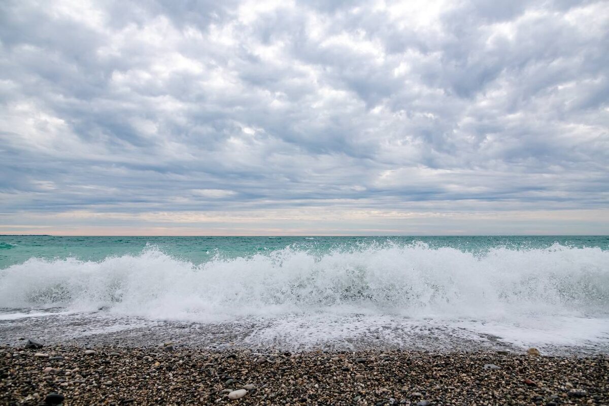   Фото: пресс-служба ФТ Сириус