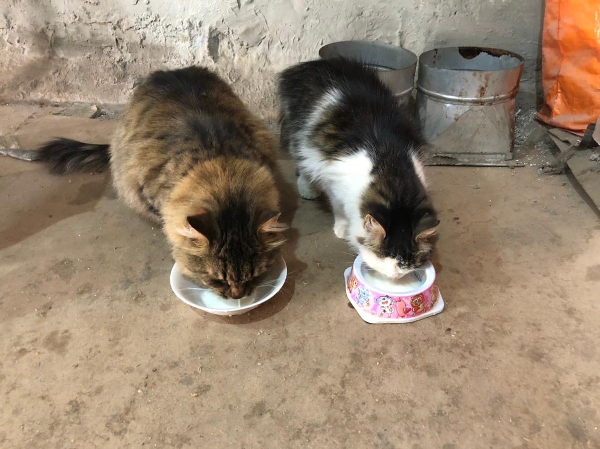 Обед по расписанию 