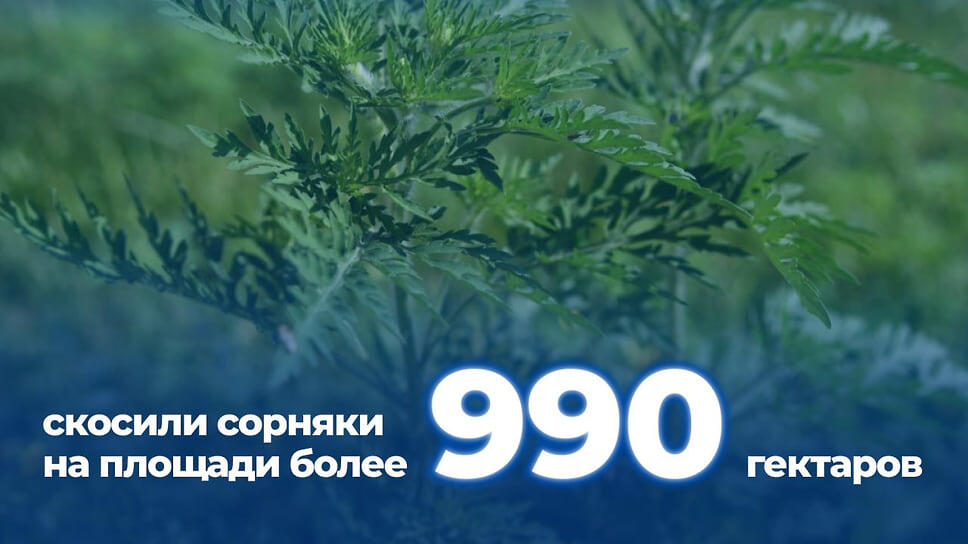 Фото: пресс-служба администрации Краснодара