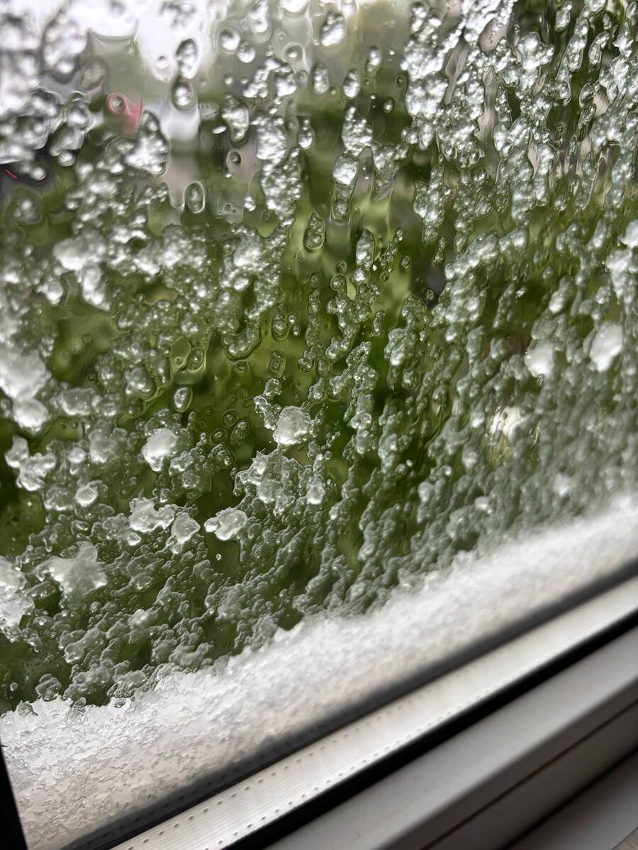 Воронеж. 27 апреля 2025г.