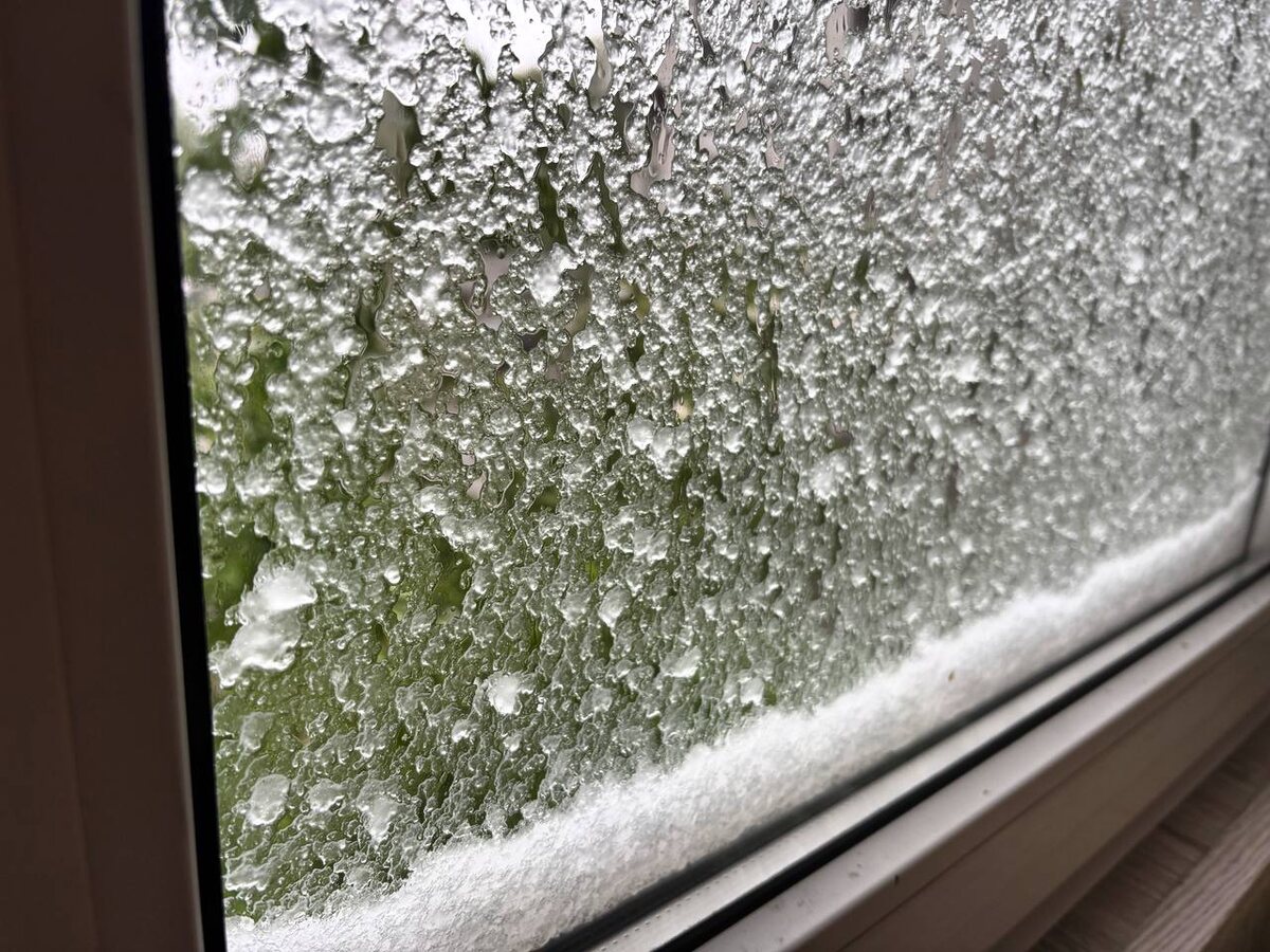 Воронеж 27 апреля 2025г.