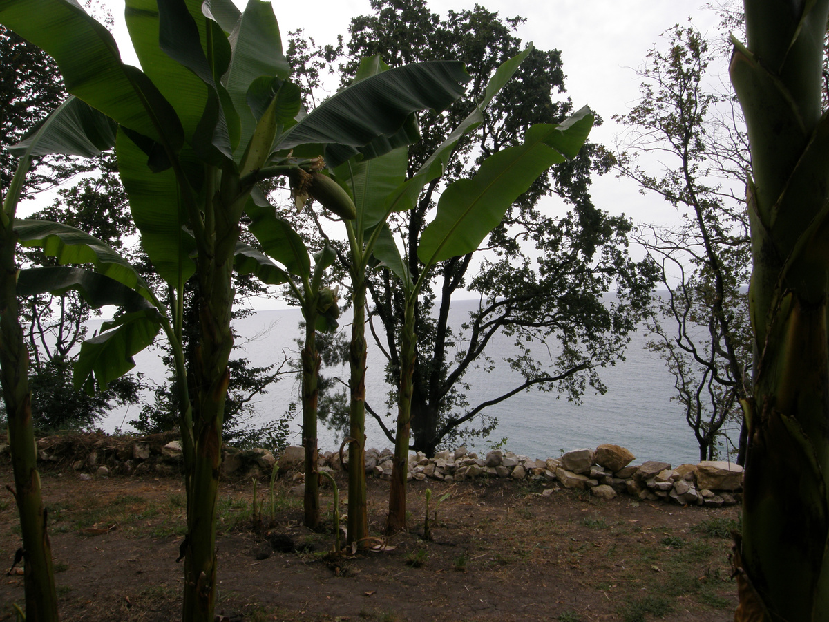 по доррге у Срчи