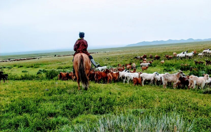    Путешествие в Монголию 2025: цены, личный опыт, советы туристам