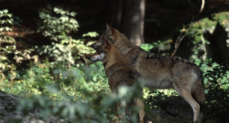    Konstantin Mikhailov/Russian Look / www.globallookpress.com