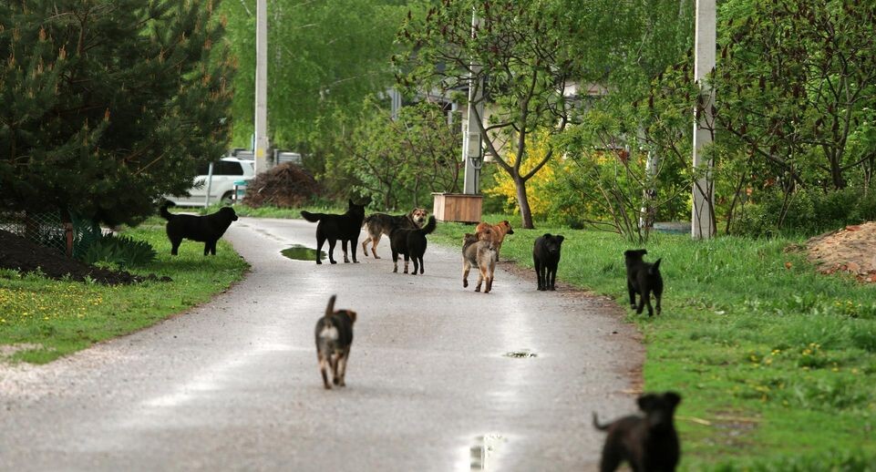    Nikolay Gyngazov/Global Look Press / www.globallookpress.com