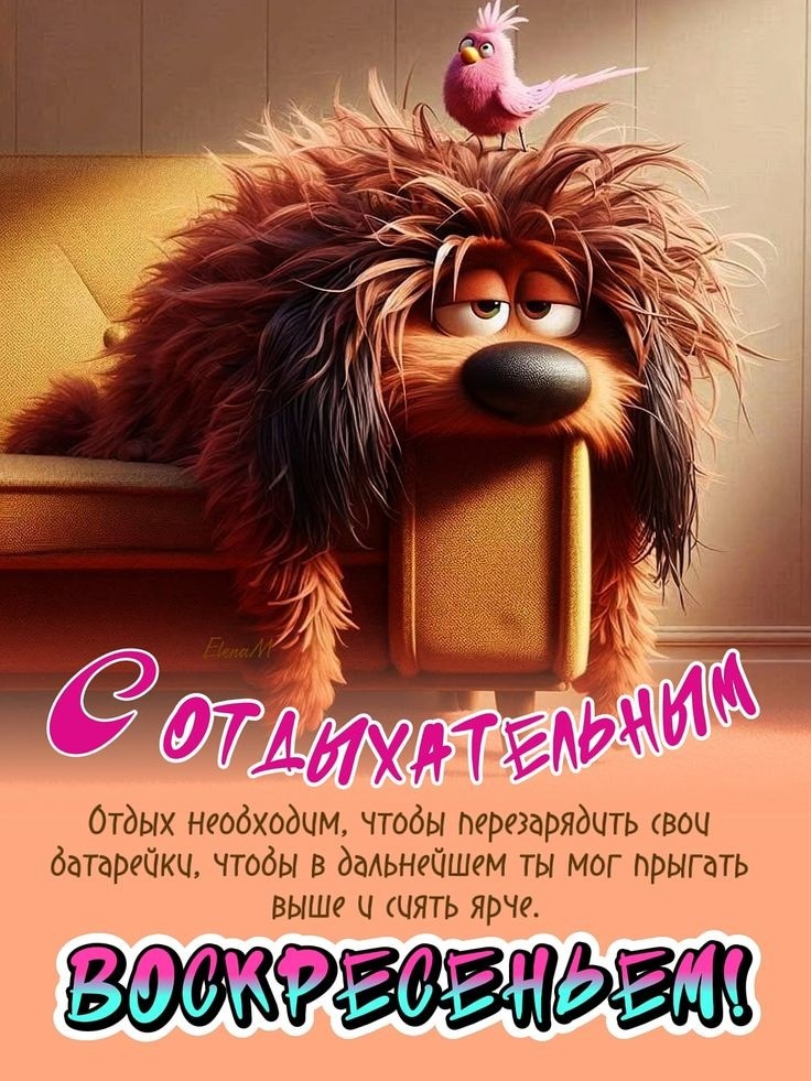 Фото из Pinterest.