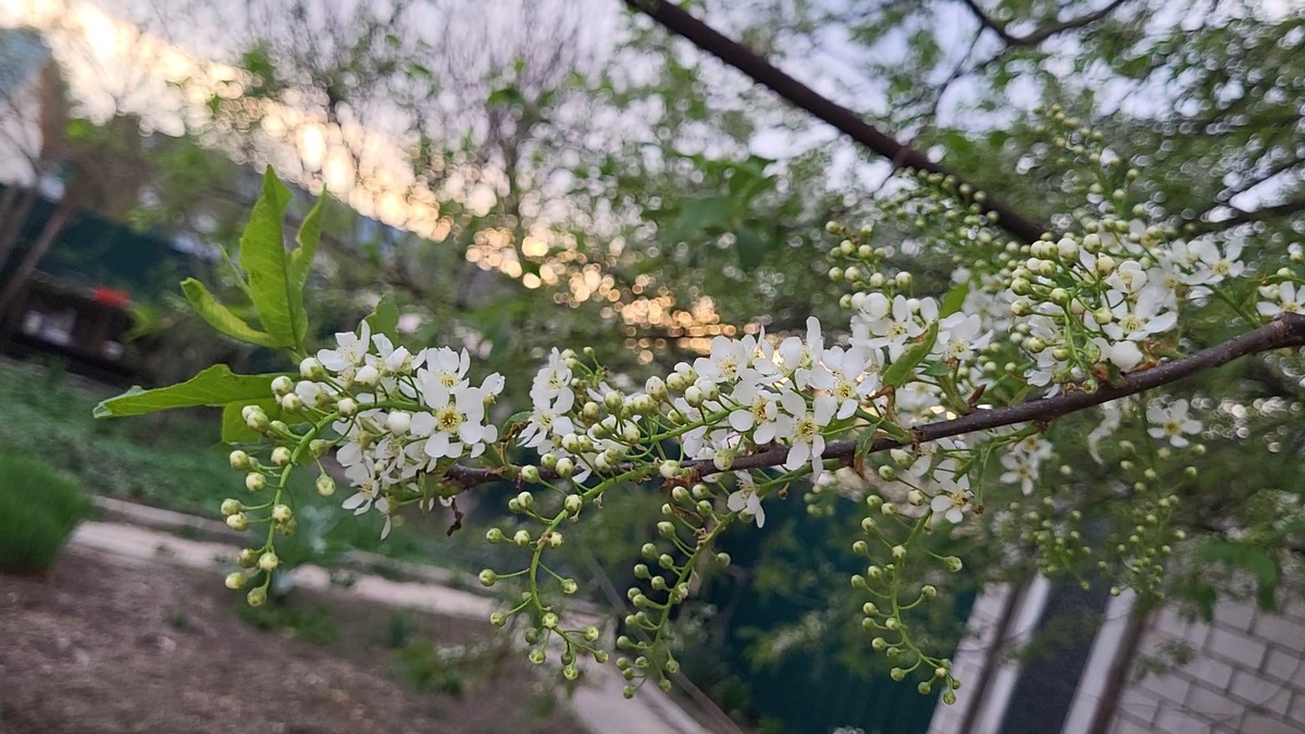Я не знаю чего делать...