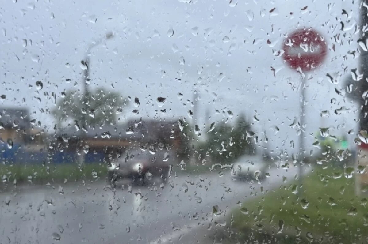    Потепление до +18° и дожди ждут воронежцев на короткой рабочей неделе