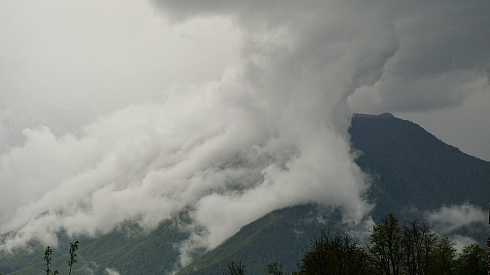 Фото: пресс-служба администрации Сочи