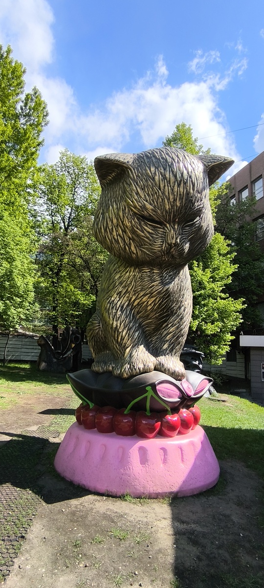 Очень необычный котик на вишневой подушке) 