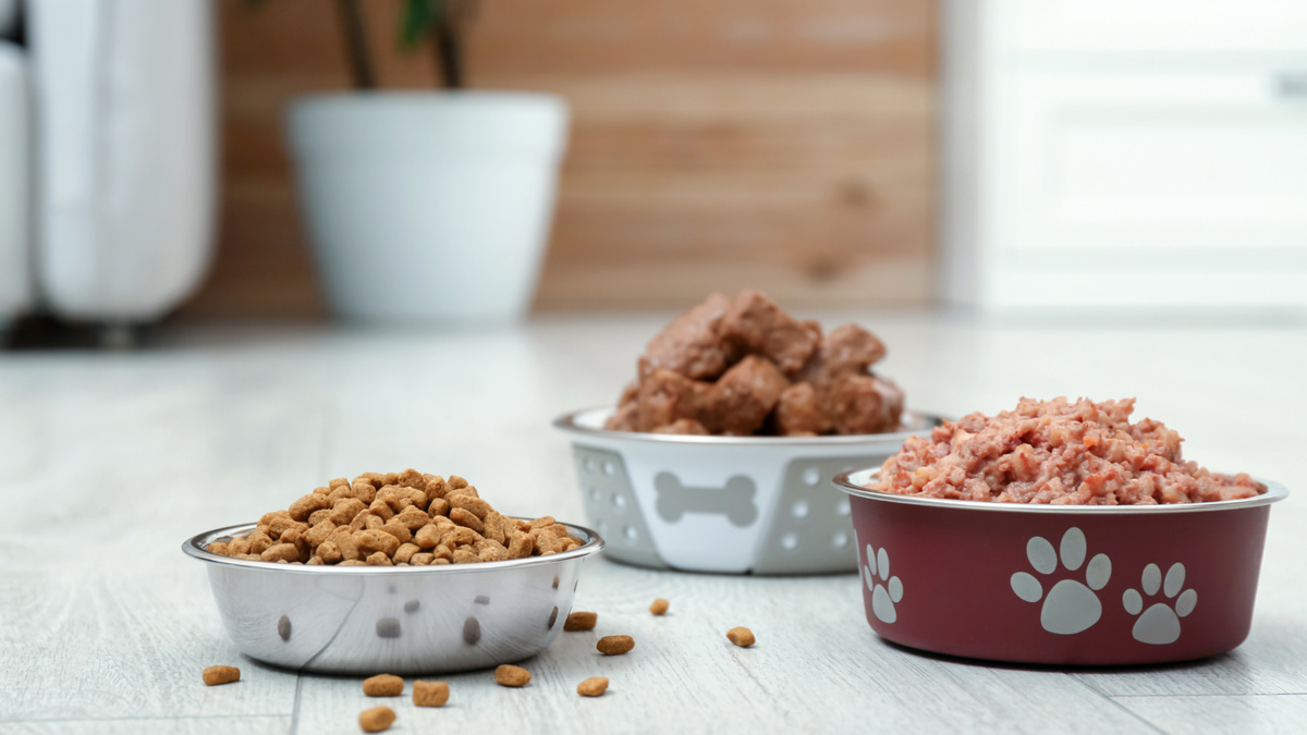 Ключевые особенности влажных кормов – качественные ингредиенты, высокое содержание влаги, меньший процент зерновых компонентов при большом количестве белка. Фото Liudmila Chernetska/iStock