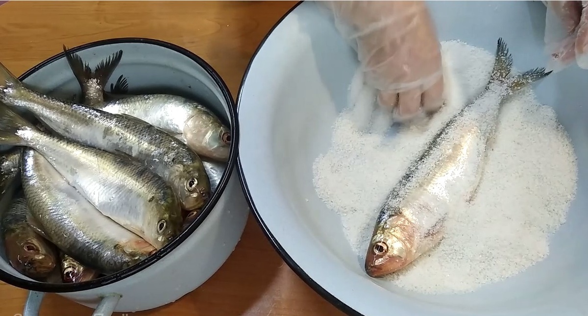 Солим селёдку