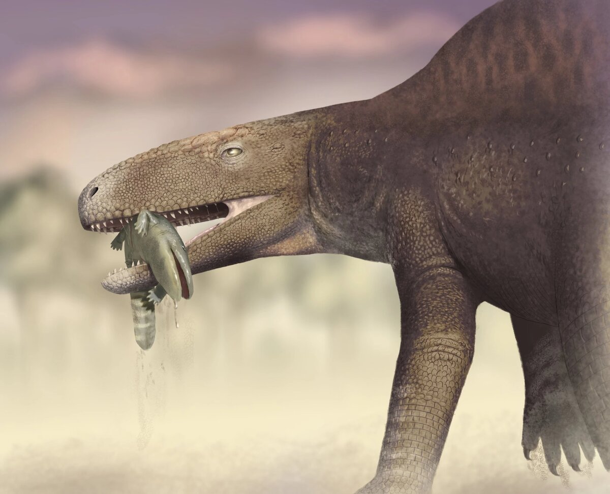 Ксилоузух поймал амфибию.