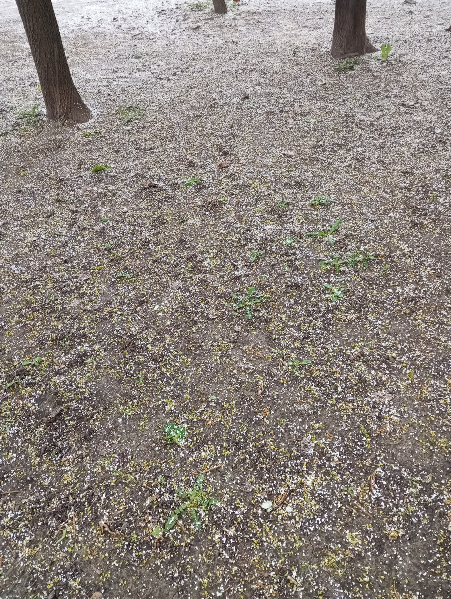 Снег не снег, крупа какая-то