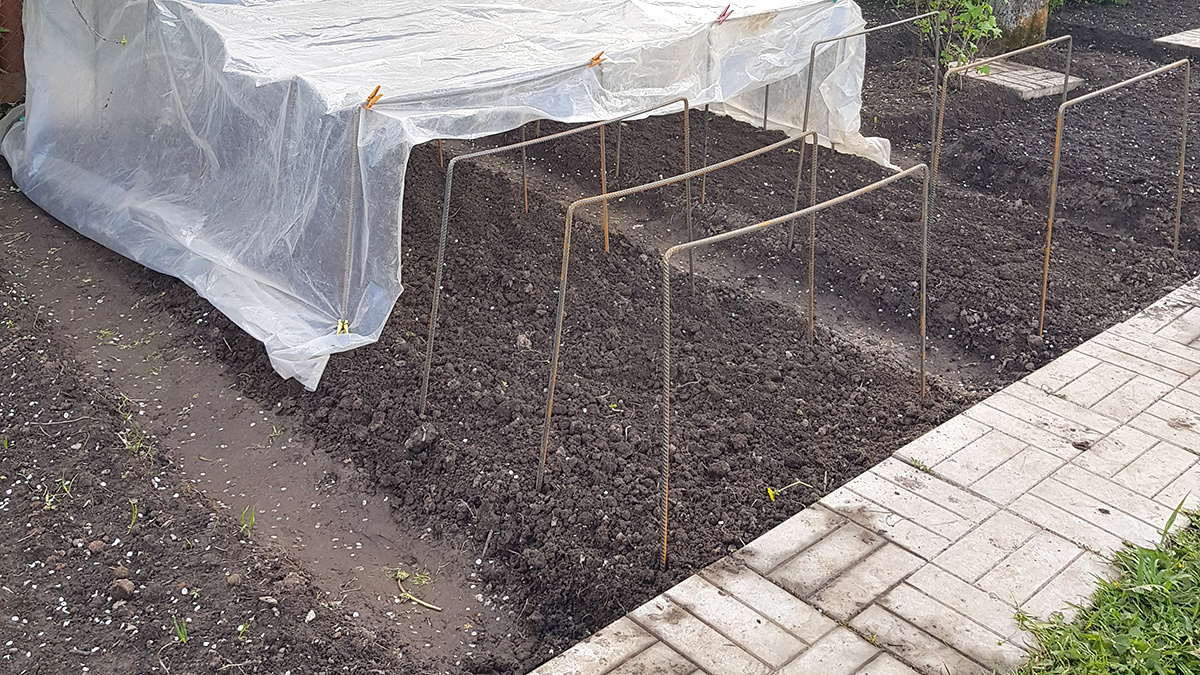 Весна 2020. Мои первые грядки. Мы с мужем очень старались.