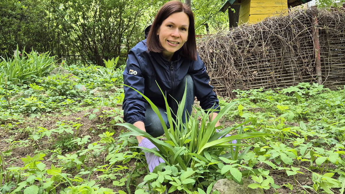 Наши дни. Декорированная зона с клумбой у подъезда