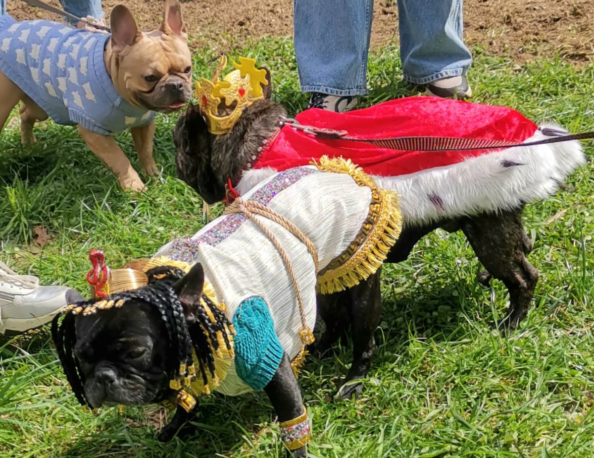 Посещение 27 апреля 2025 года