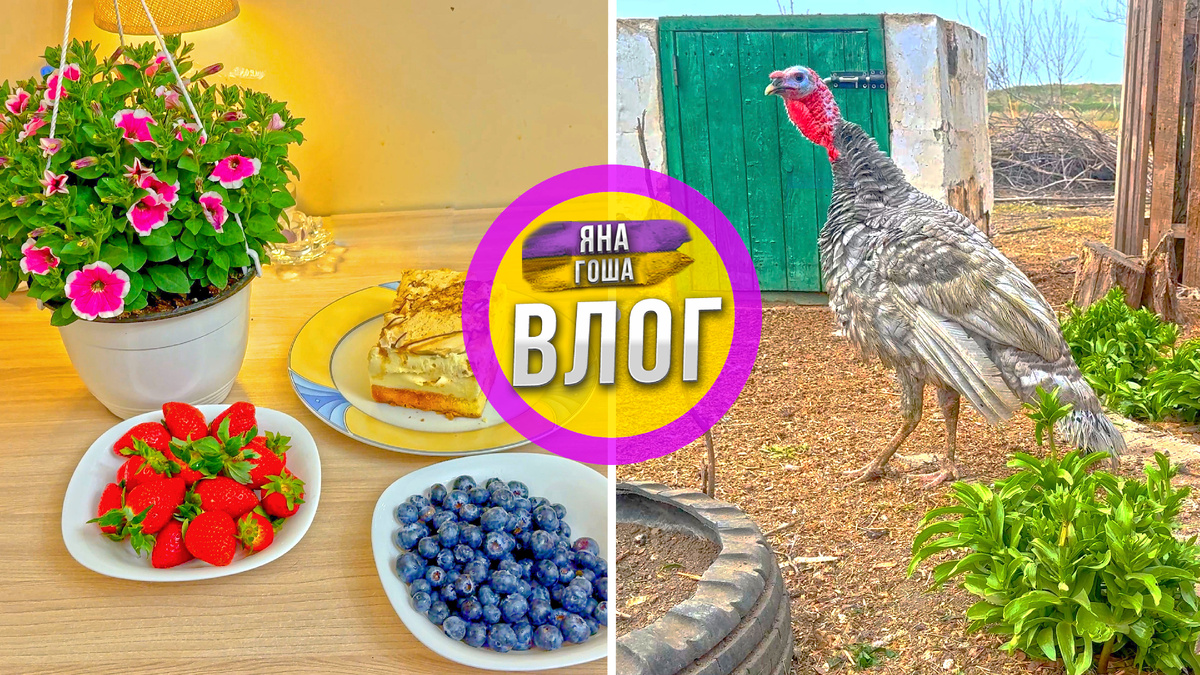 Новый влог уже вышел!