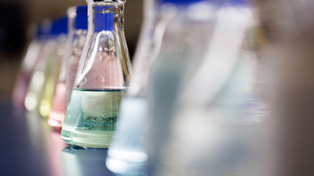    Sergey Elagin/Globallookpress