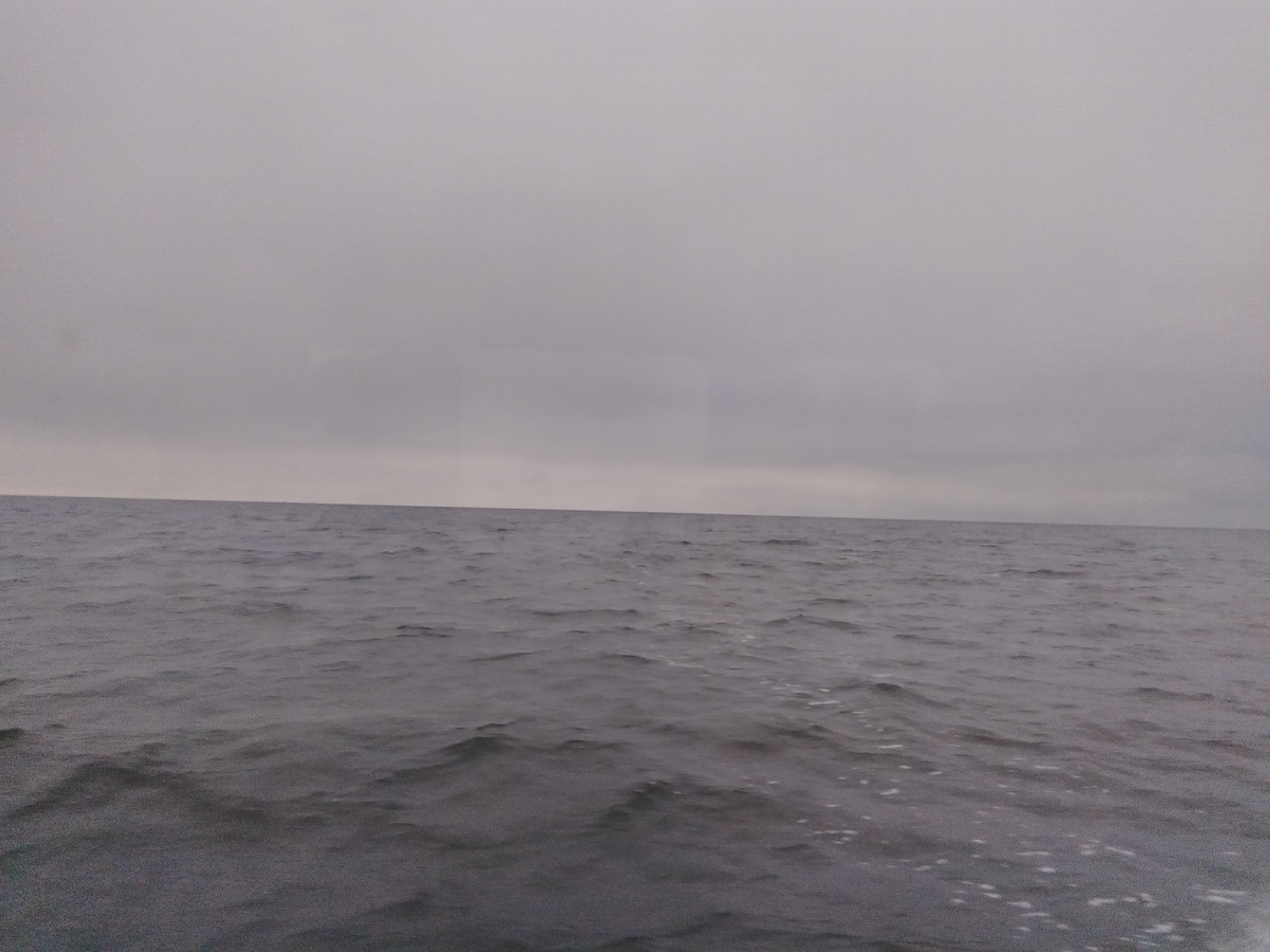 Из окна катера