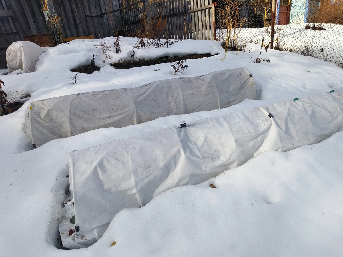 3 апреля 2025г