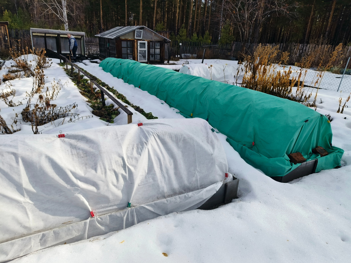 3 апреля 2025г