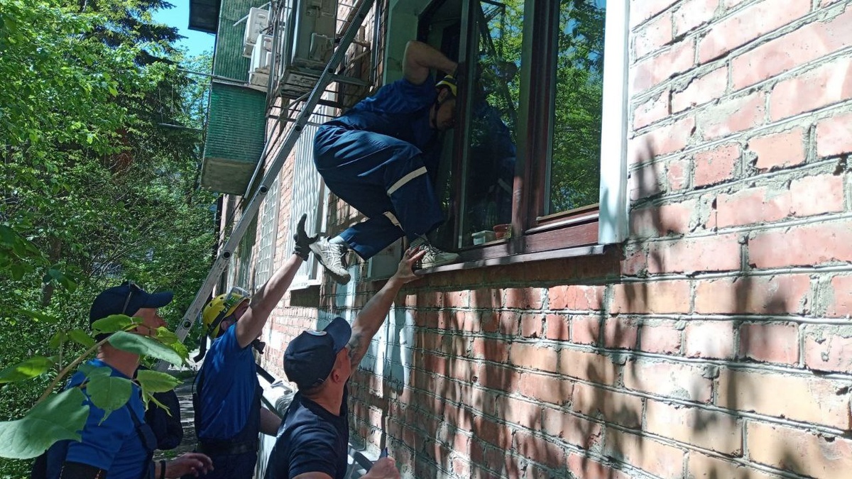     Фото: Пресс-служба администрации Краснодара