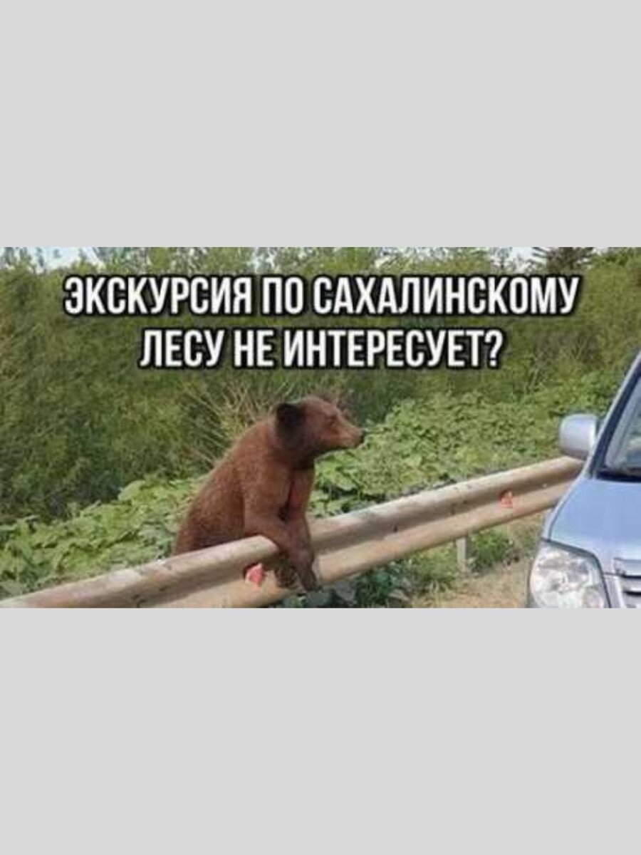 -5