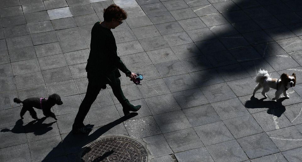    РИА «Новости»