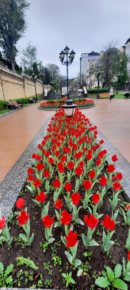 Проспект Ленина,  город Кисловодск.  Все фото мои.