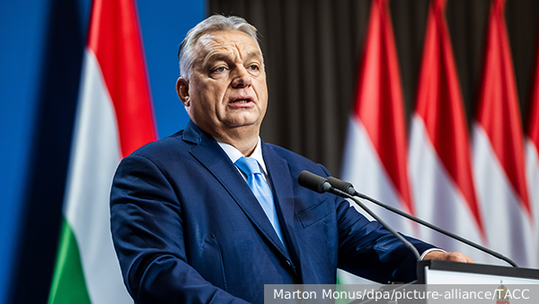     Фото: Marton Monus/dpa/picture-alliance/ТАСС   
 Текст: Дарья Григоренко