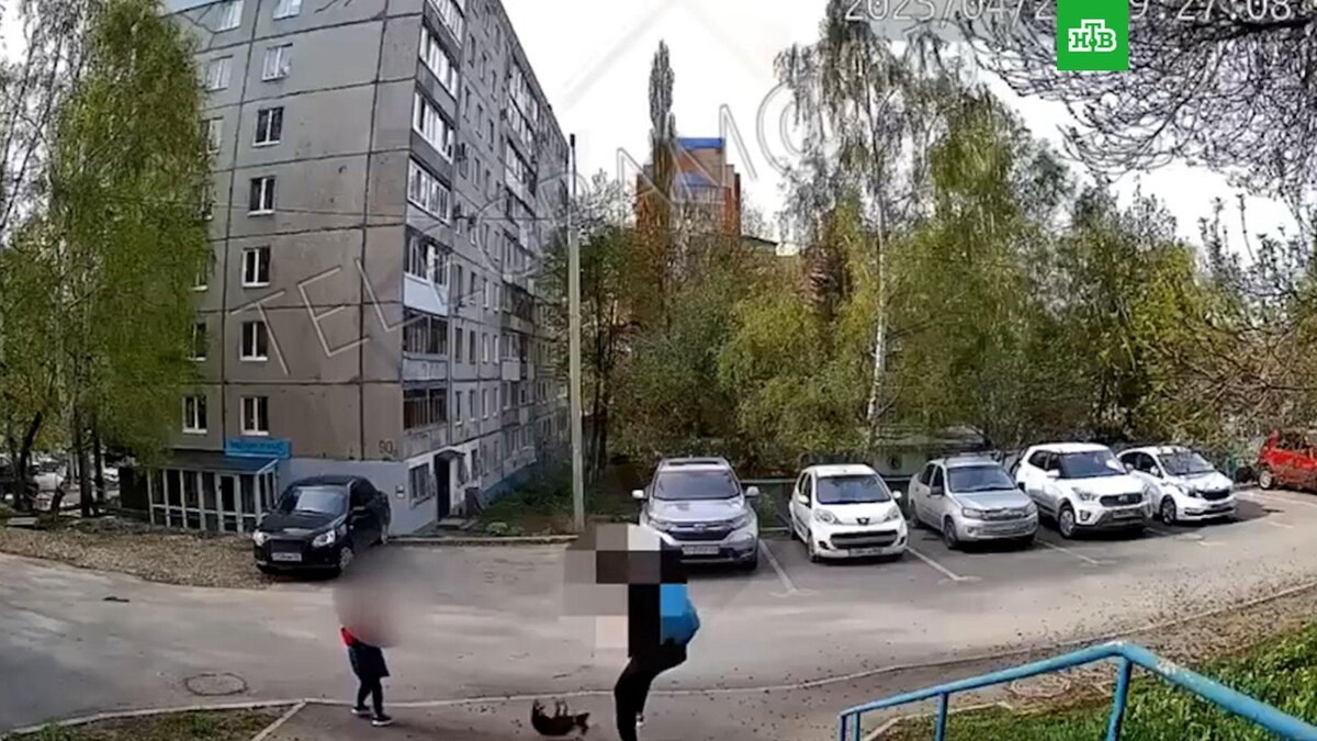   МВД проверяет видео с уфимкой, чуть не убившей собаку из-за пролитого кофе