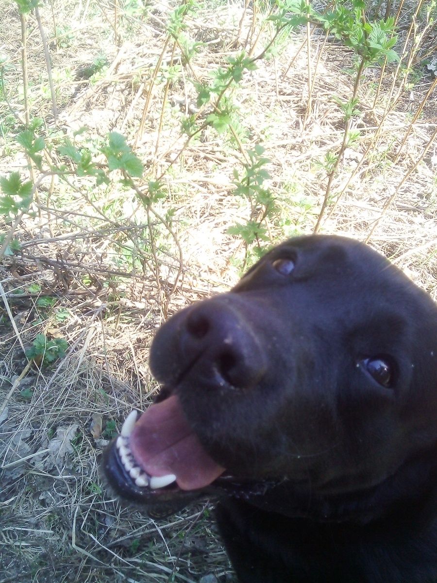 Фото автора.