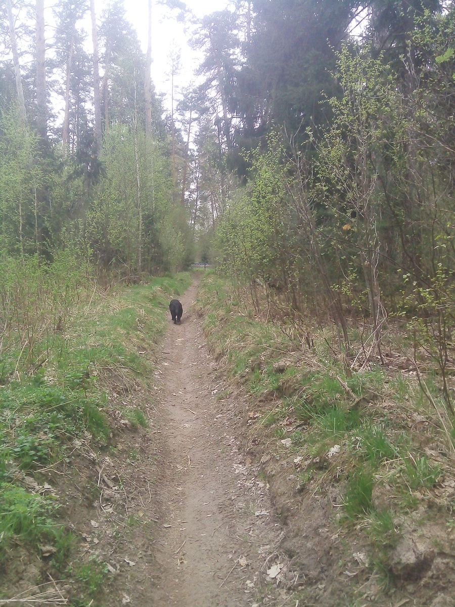 Фото автора.