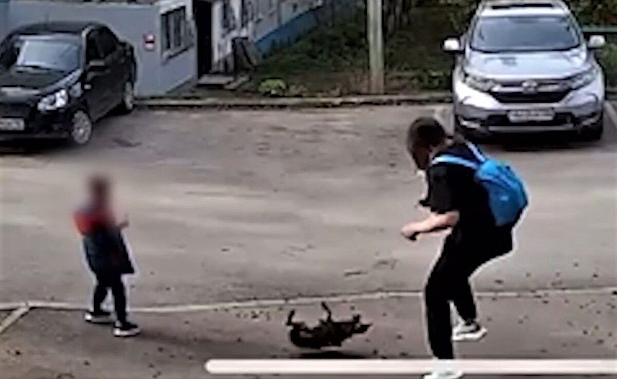     / Источник: Кадр из видео