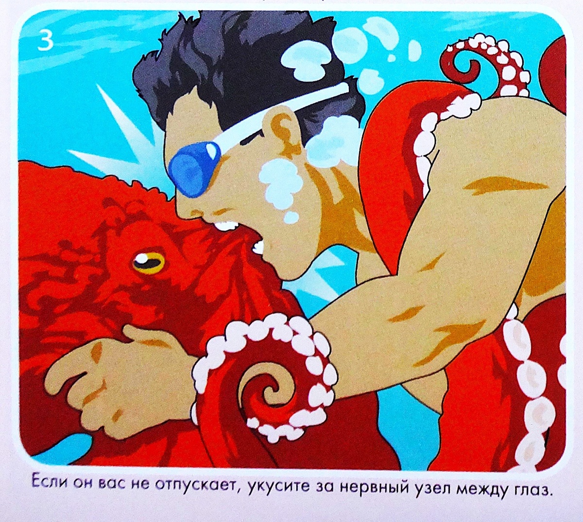 Внимание! Это не является точной и проверенной рекомендацией!