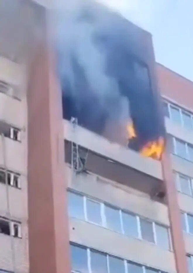    Фото: стоп-кадр видео из телеграм-канала «Петербург с огоньком»