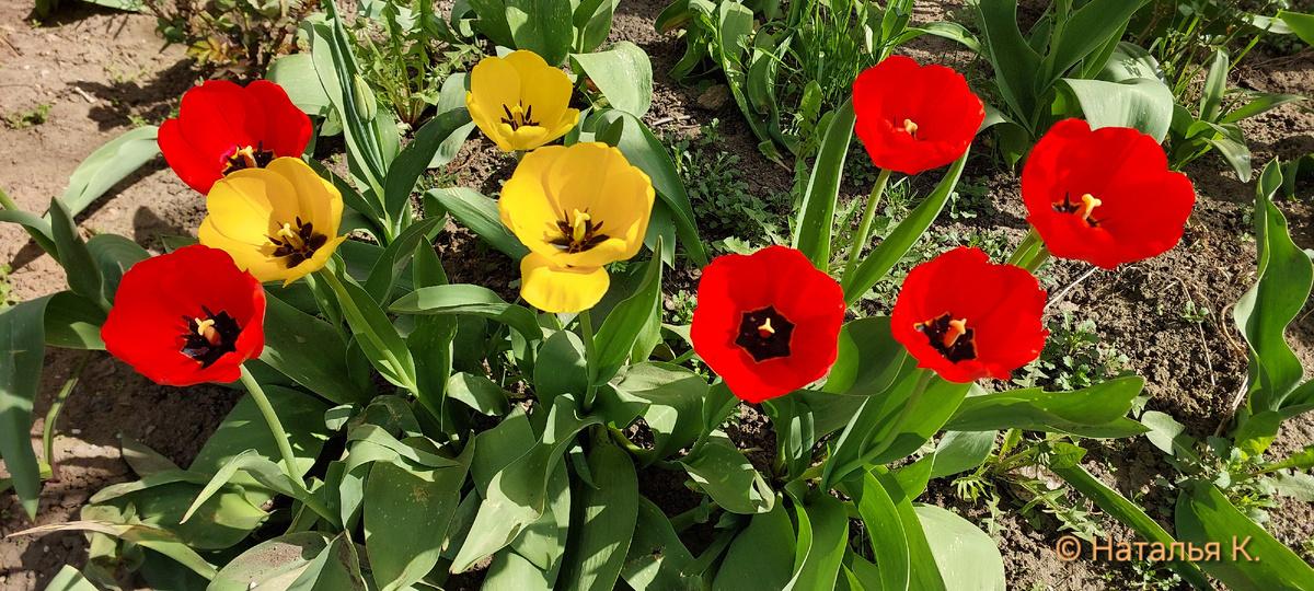 Фото автора канала