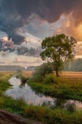 Фото из открытого источника в интернете 