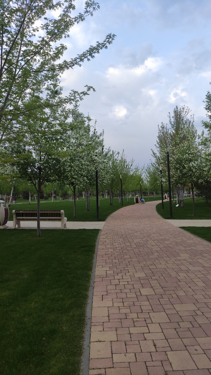 Черемуховая аллея