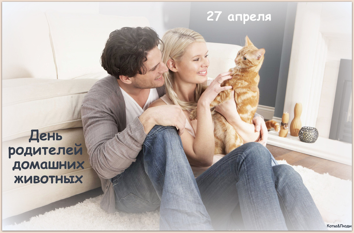 Коллаж автора. Использовано фото: indiegogo.com