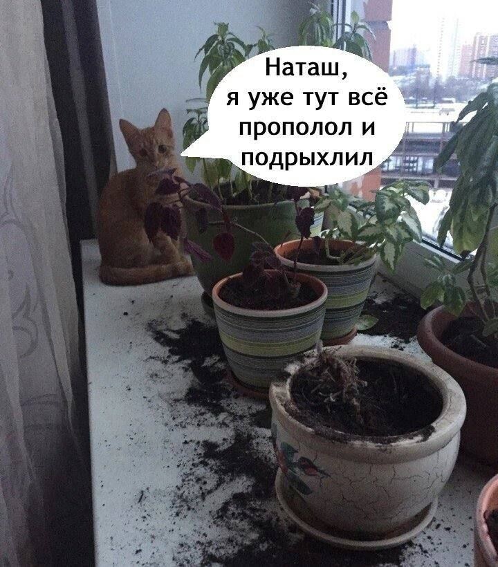 Моя умничка. Мой помощник