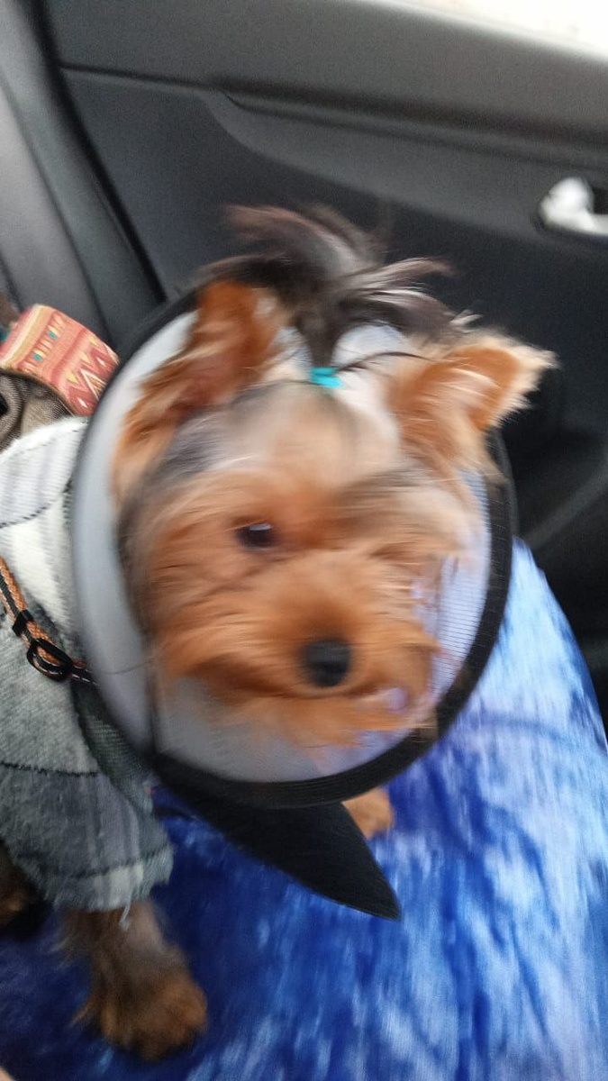 Едем с операции. Качество не очень, но суть понятна