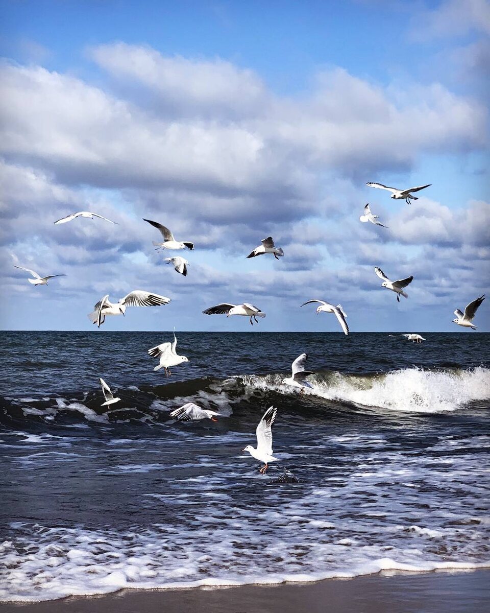 Телеграм канал - Святая Руфь