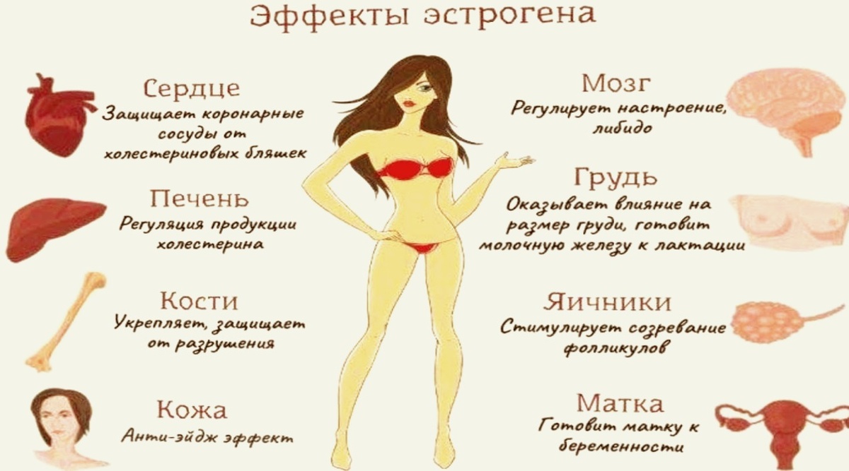 Очень важный гормон (фото из открытых источников)