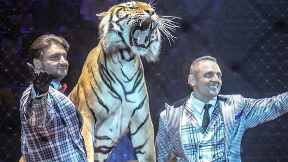    Фото: t.me/zapashnyru