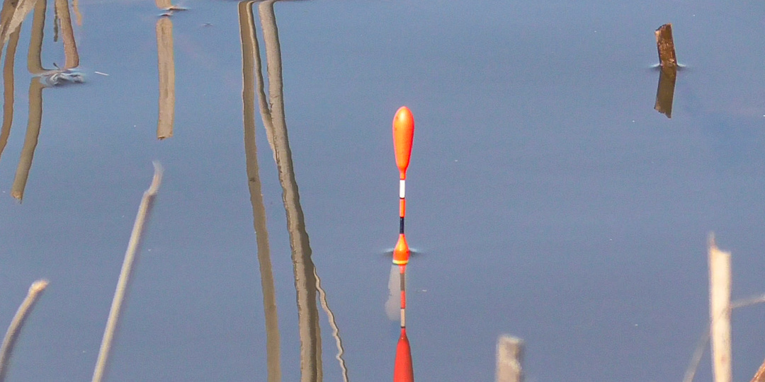 Как найти карася на реке весной? Несколько полезных рекомендаций 👍