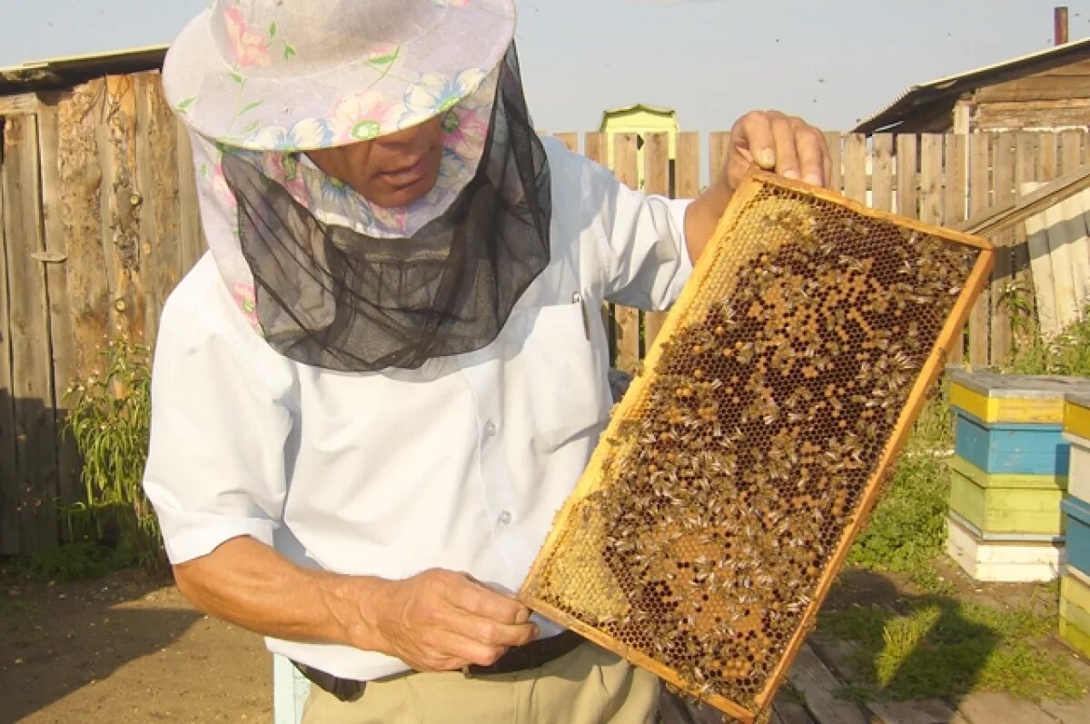    Пудов день.