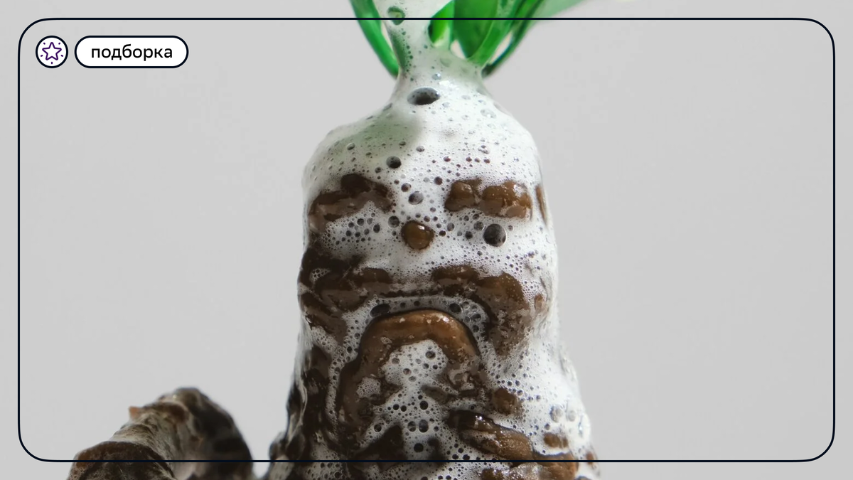 Источник: identicroots.ru