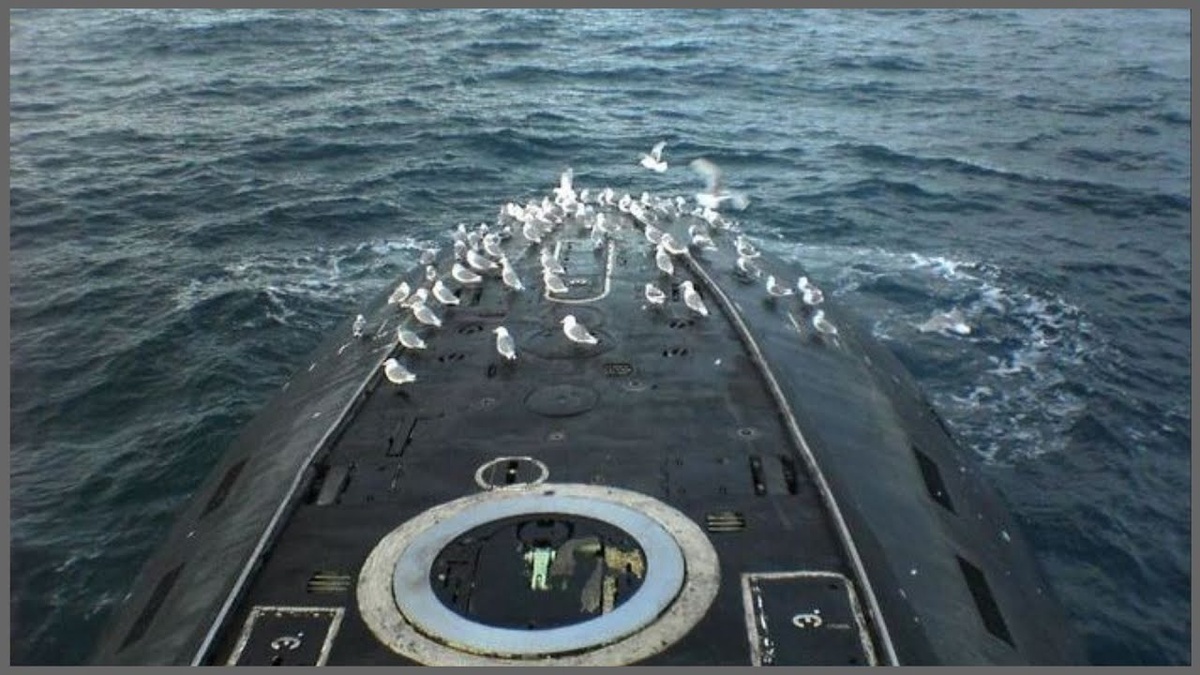 фото из открытых источников